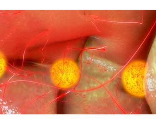 上海代怀包成功,2026上海*库医院排名(附上海供精试管费用表)