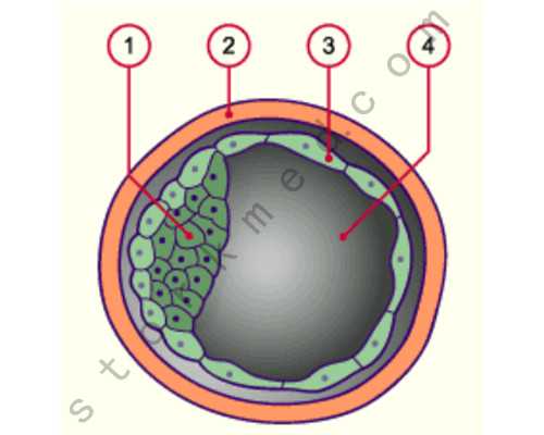 备孕一周同房几次更容易怀孕！备孕同房后一周都有哪些症状！,代怀生子宝宝