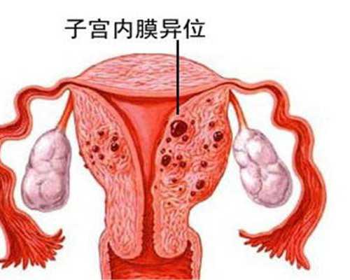 十月优宝和爱优选[金贝供卵网站],2026天津供卵试管生子医院排名！附供卵包生