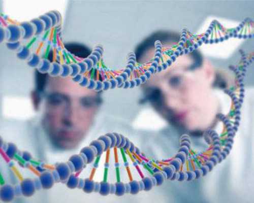 备孕第一个月就有了_育儿知识经验小文章,孕妇应重视孕期发烧