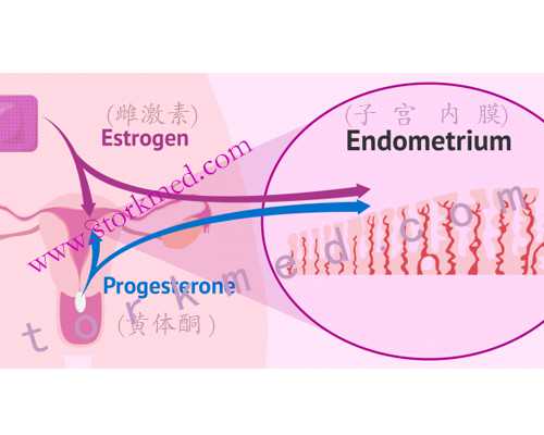 上海供卵代生哪家好,上海试管3代的成功率_上海试管婴儿第三代价格！
