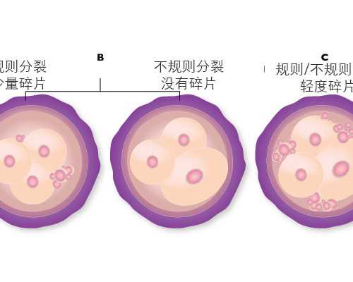 上海比较大的助孕机构真实成功率(上海三大助孕公司你了解吗)