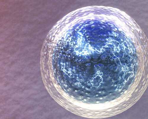 上海专业代怀机构,【层出不穷】上海助孕网