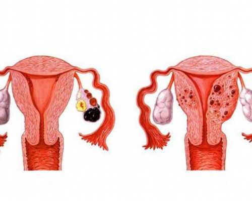 上海试管婴儿哪家医院好？,代生子机构