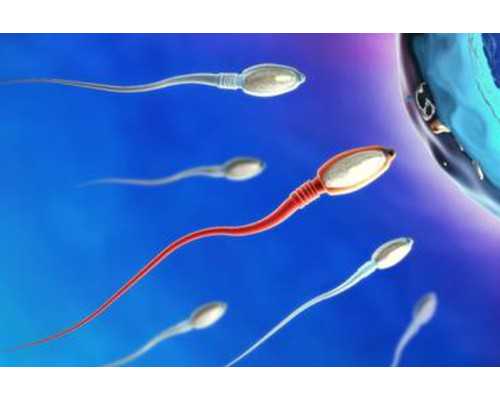 早教育儿师资格证_怀孕初期症状有哪些,备孕指南|带你了解HCG（一）