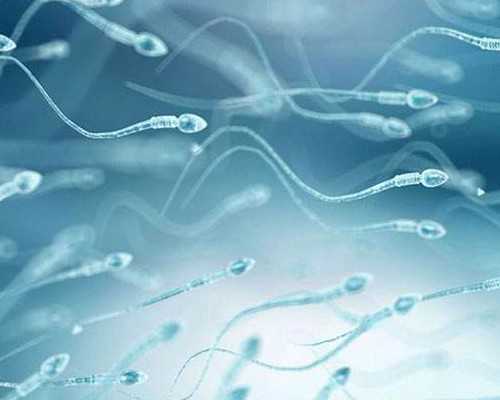 上海高龄失独供卵,上海试管婴儿:优生优育什么时候怀孕好