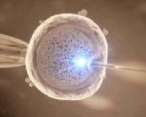 上海有去试管代怀,上海公布35家市级医院咨询电话