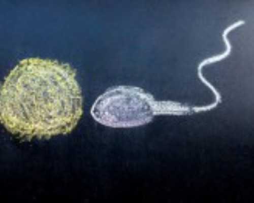 供卵的费用[广州传承生殖医疗中心],2026广西公立医院供卵试管费用15万左右，附