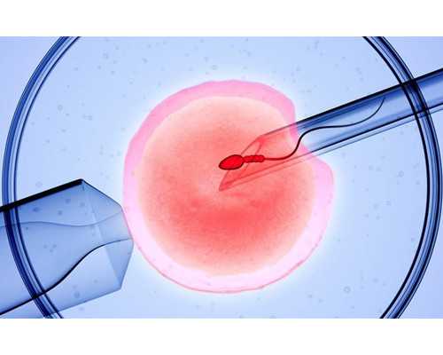 上海男人找女人代怀,上海九院是擅长试管婴儿还是人工授精？