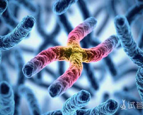 上海试管生子公司,上海试管检查抽血多少钱 上海做试管费用大家都做了多少